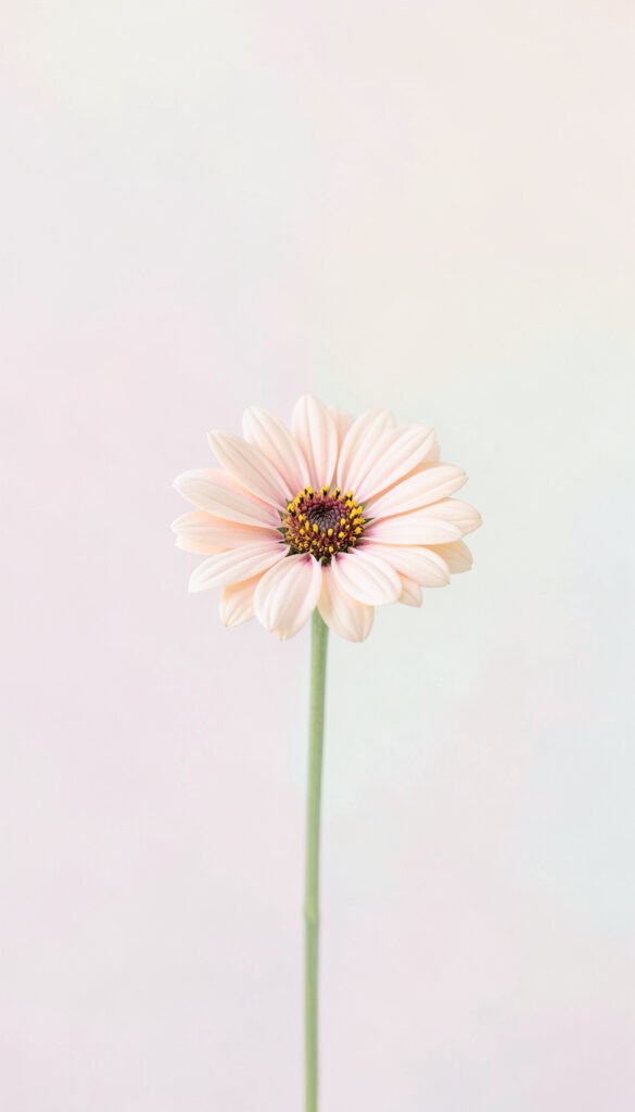 Flor minimalista - Portadas de ciencias naturales creativas