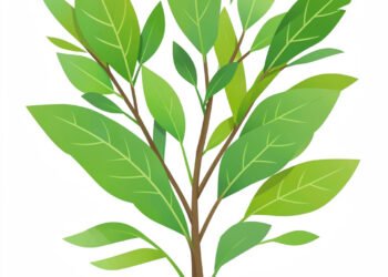 Naturaleza viva - Carátulas de biología para colegio