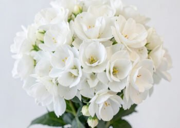 Ramo sofisticado - flores blancas elegantes