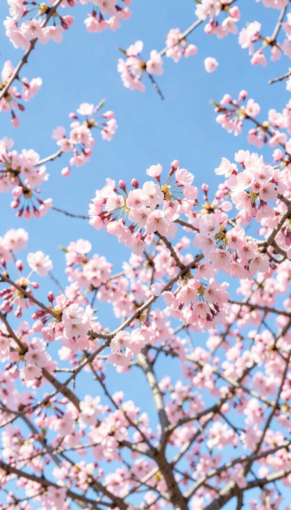 Sakura en flor y cielo azul - Imágenes kawaii aesthetic para perfil
