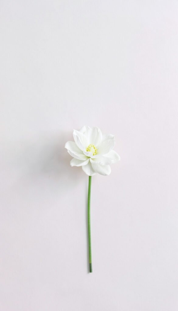 Minimalismo elegante - Fotos de perfil aesthetic Pinterest