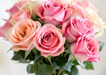 Flores rosas en primer plano - Imágenes de flores para descargar