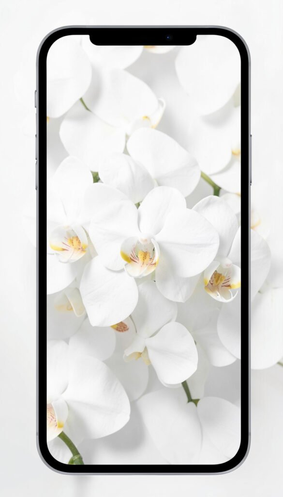 Orquídeas blancas modernas - Fondos de flores aesthetic elegantes