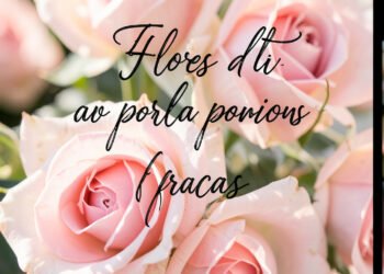 Descargar fondo de pantalla Flores para perfil con frases bonitas y elegantes en HD y 4K gratis Rosas rosadas con frase motivadora - Flores para perfil con frases