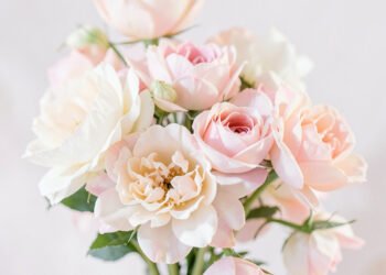 Flores Pastel - Fondos de pantalla para WhatsApp