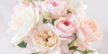 Flores Pastel - Fondos de pantalla para WhatsApp