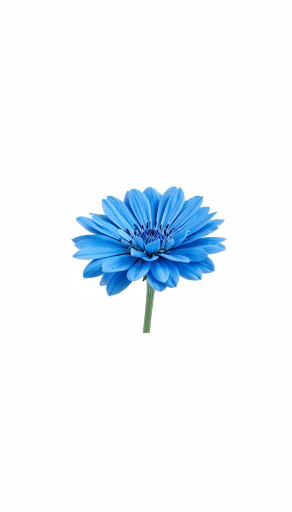 Floral minimalista azul - Imágenes de flores lindas para