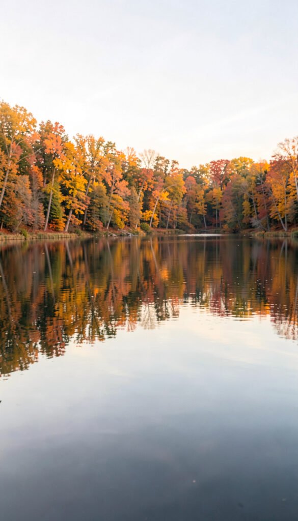 Reflejo en agua - Fotos de perfil aesthetic Pinterest