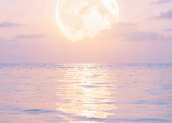Luna llena sobre el mar - Wallpapers de Atardecer y Luna