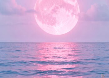 Luna Rosa sobre el Mar - Fondos de Luna Rosa para
