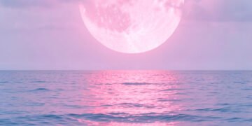 Luna Rosa sobre el Mar - Fondos de Luna Rosa para