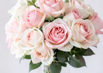 Rosas Pastel Sofisticadas - Flores Elegantes para Mujeres y
