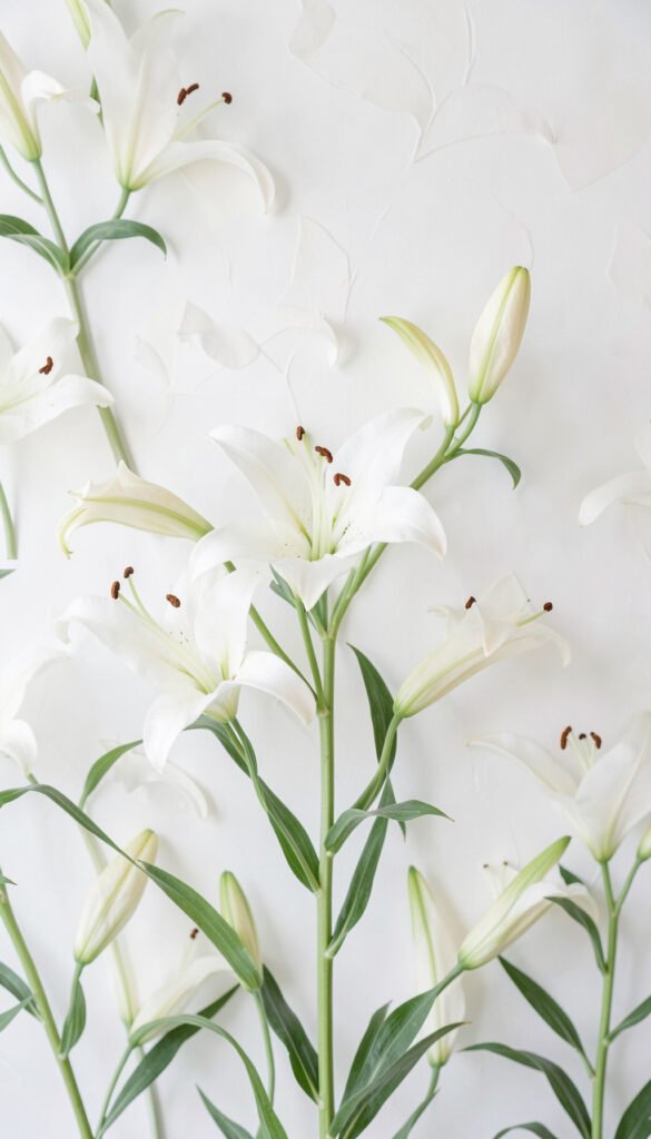 Lirios Blancos y Pureza - Imágenes de Flores para Dar