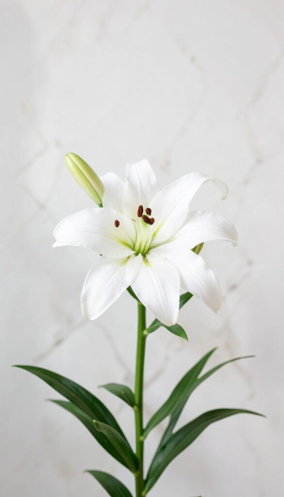 Lirios Blancos Minimalistas - flores hermosas para redes