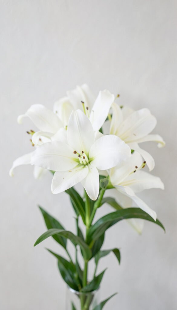 Lirios Blancos Elegantes - Flores para Enviar por WhatsApp