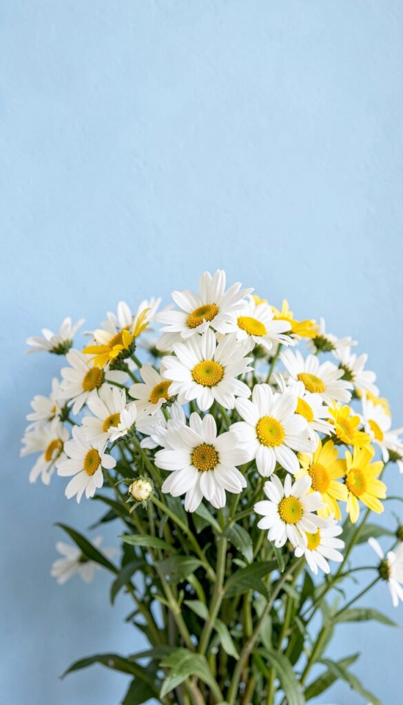 Ramo de Margaritas - imágenes de flores románticas