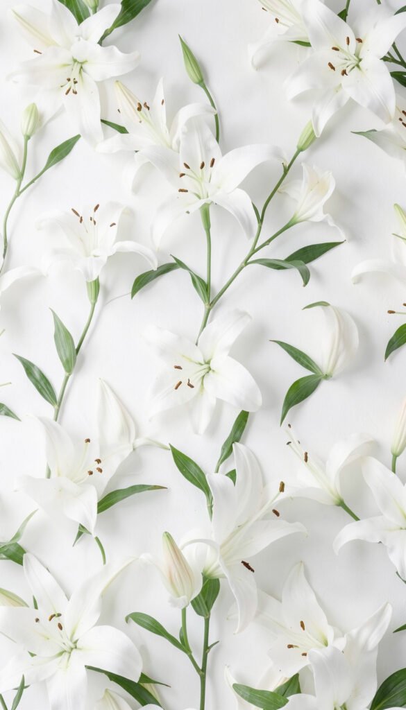 Lirios Blancos Elegantes - Flores Bonitas para Perfil y