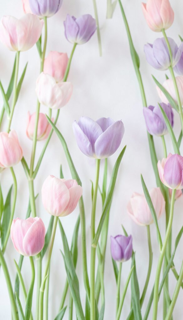 Tulipanes color pastel - Flores de Amor para Dedicar