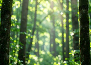 Naturaleza Vibrante - Imágenes para Pinterest con Calidad