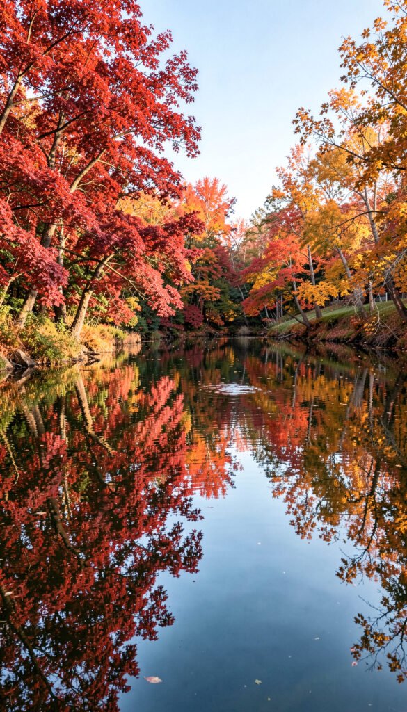 Paisaje de Lago en Otoño - imágenes bonitas alta resolución