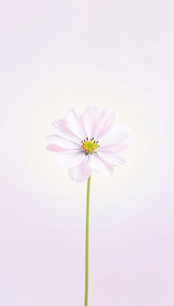 Flor Minimalista - Imágenes Virales para Compartir en