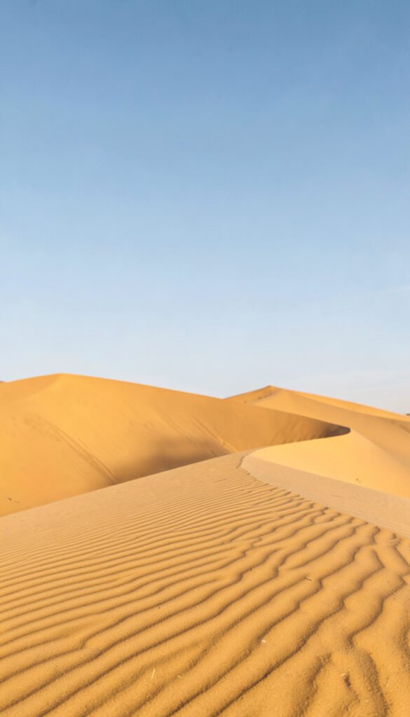Desierto Dorado - fotos naturaleza profesional HD