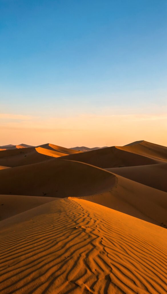 Desierto Dorado - imágenes de naturaleza HD