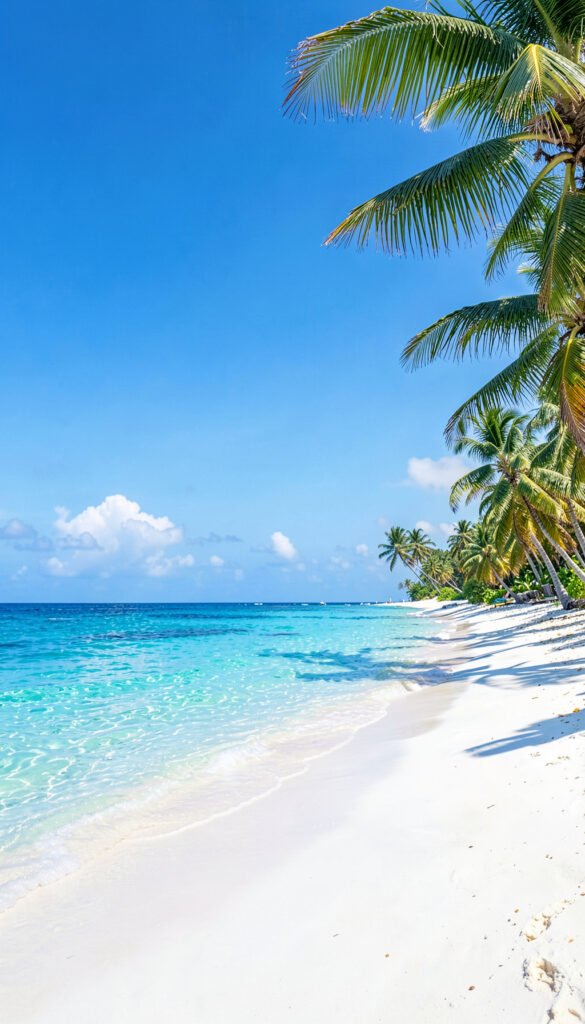 Playa Tropical Relajante - imágenes de paisajes naturales
